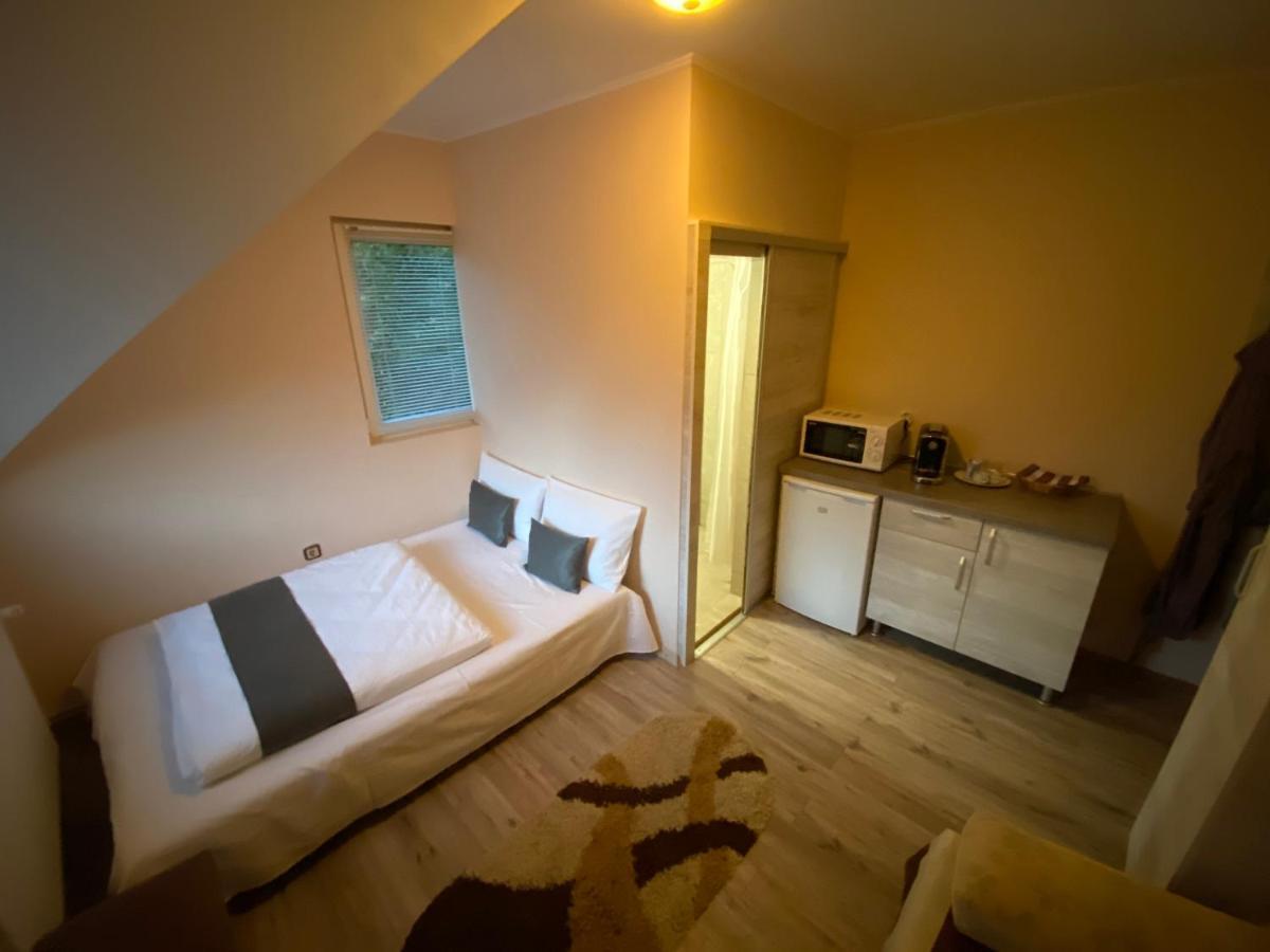 Hotel Vila Eszter Sovata Zewnętrze zdjęcie